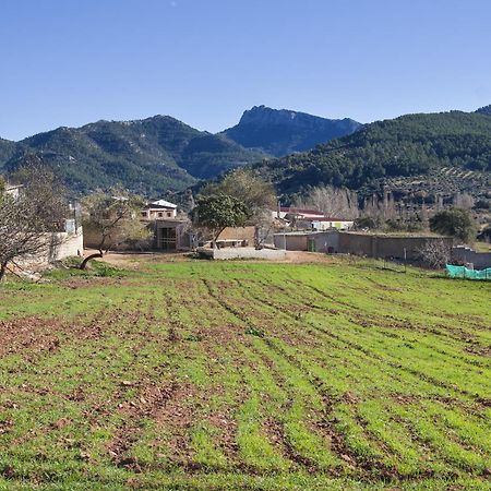 Casa Rural Chache Casto Bienservida Dış mekan fotoğraf