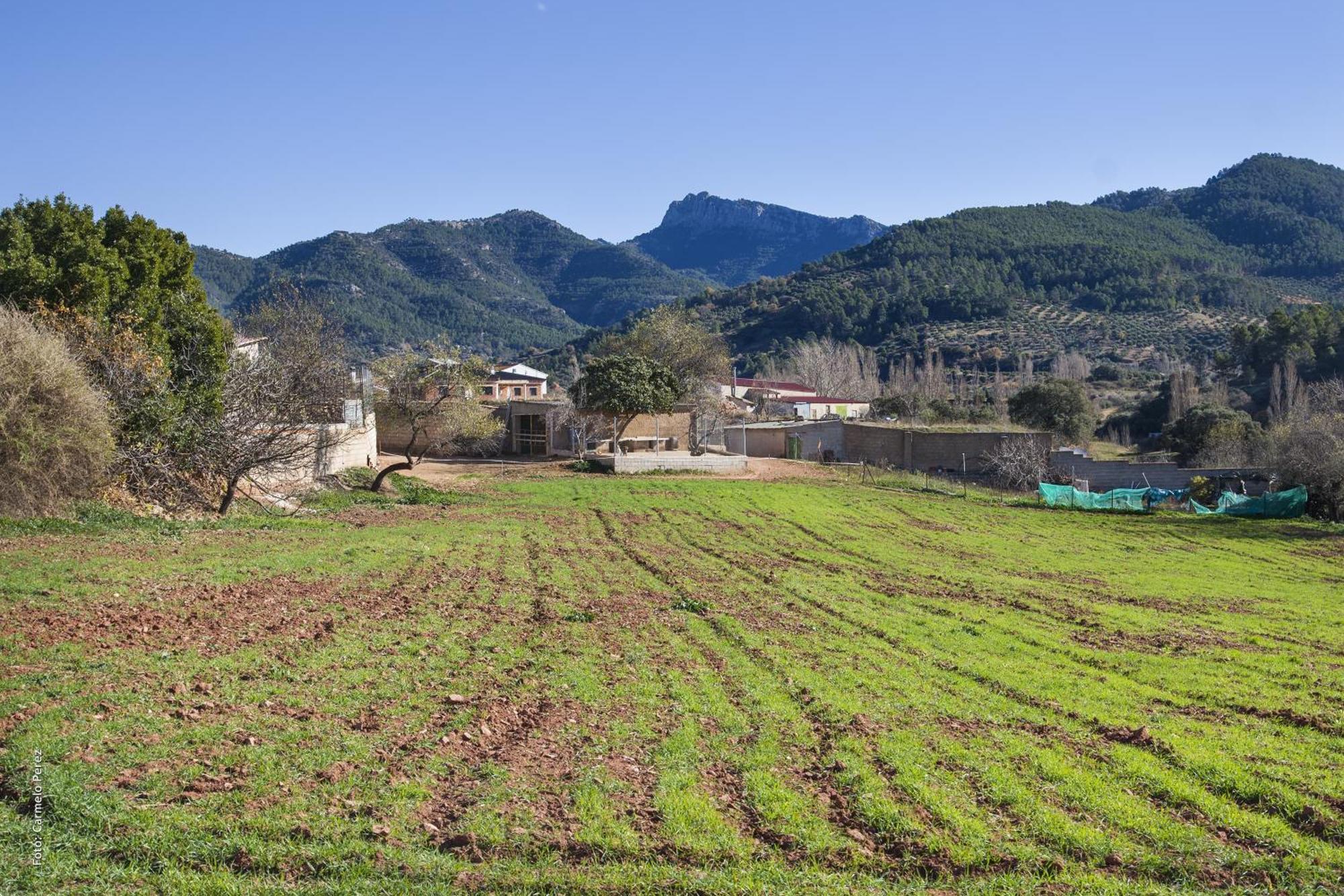 Casa Rural Chache Casto Bienservida Dış mekan fotoğraf